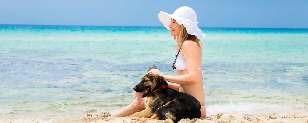 lady and dog sitting on the sand at the beach | Featured image for pet friendly holiday homes sunshine coast landing page.