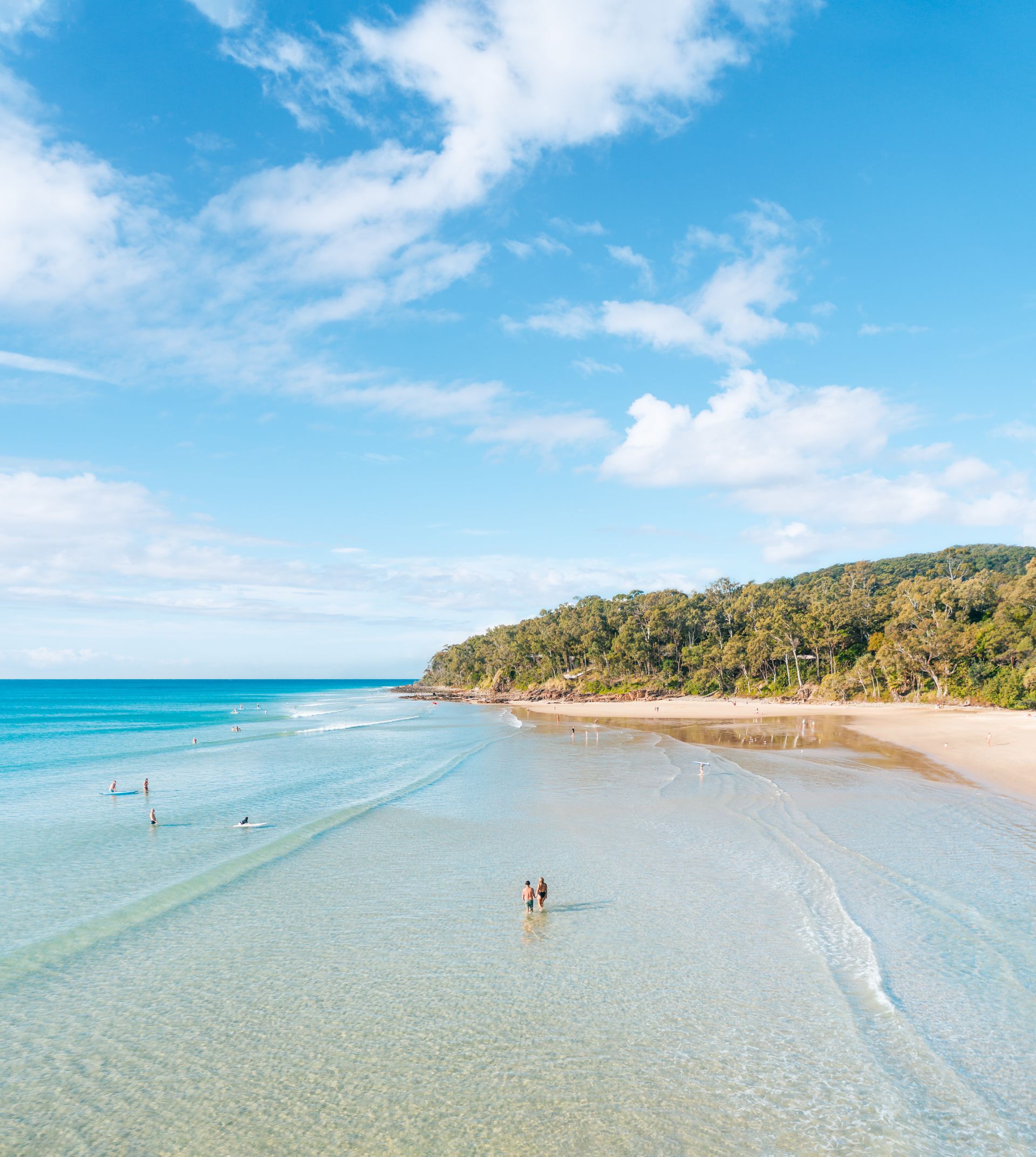 Birdie – Sunshine Beach